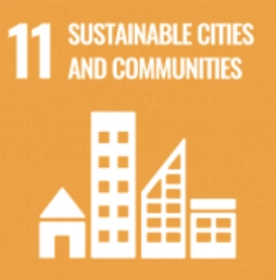 SDG11