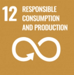 SDG12