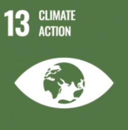 SDG13