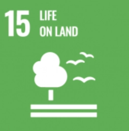 SDG15