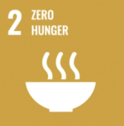 SDG2
