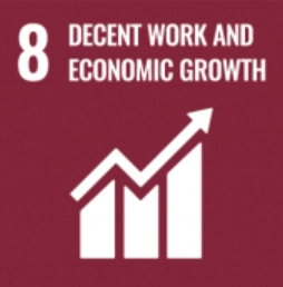 SDG8